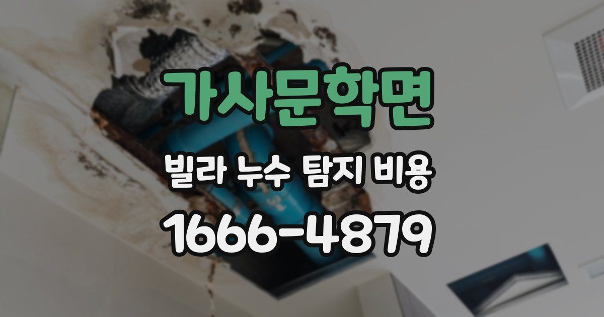 가사문학면 빌라 누수 탐지 비용