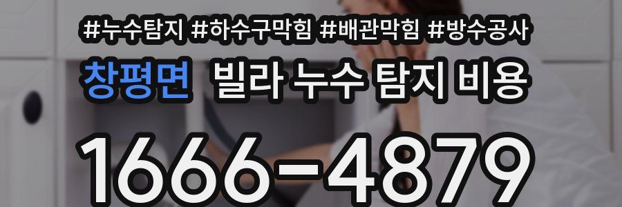 창평면 빌라 누수 탐지 비용