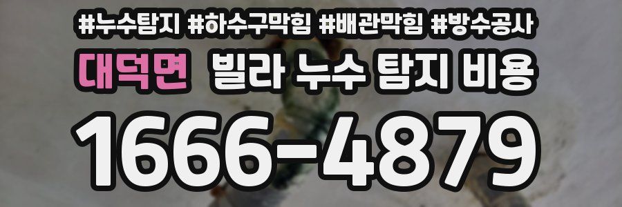 대덕면 빌라 누수 탐지 비용