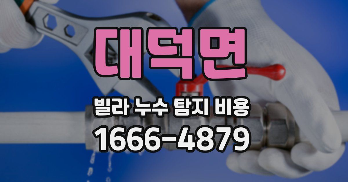 대덕면 빌라 누수 탐지 비용