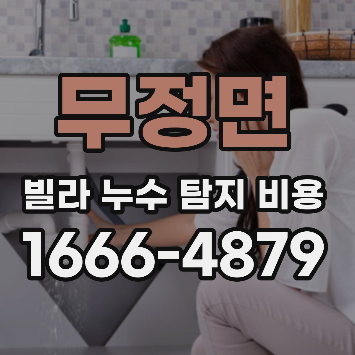 무정면 빌라 누수 탐지 비용