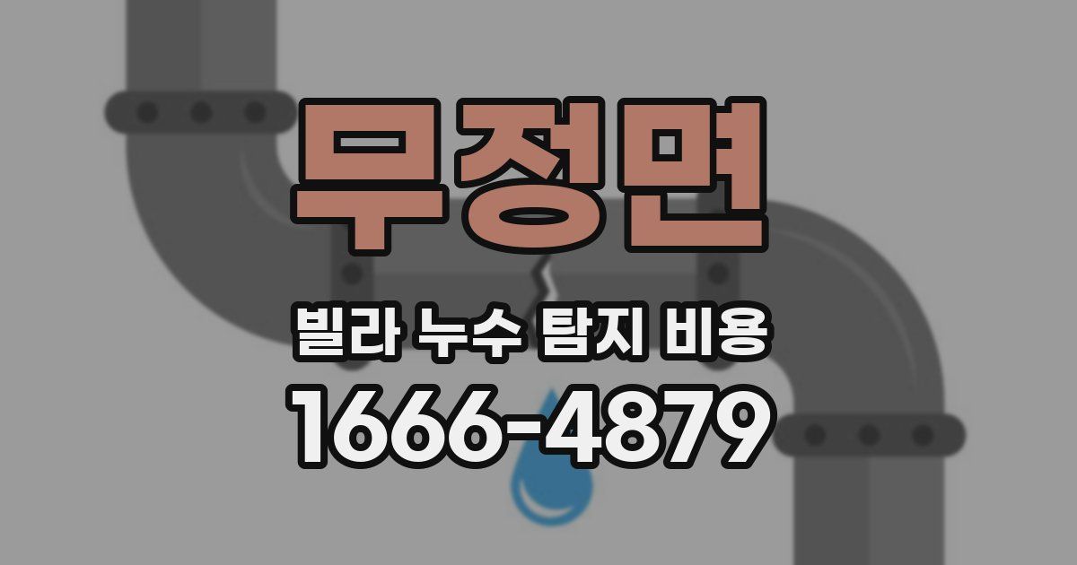 무정면 빌라 누수 탐지 비용