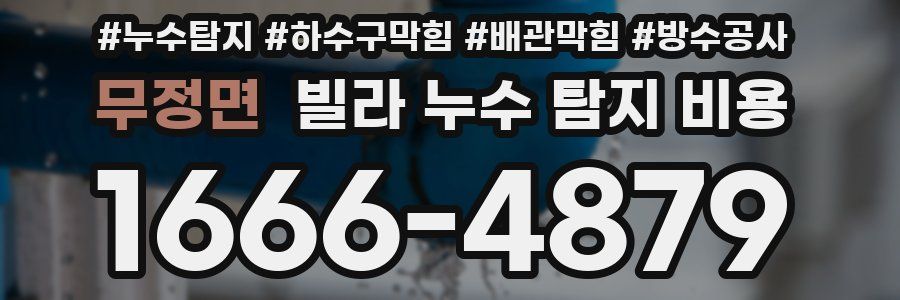 무정면 빌라 누수 탐지 비용
