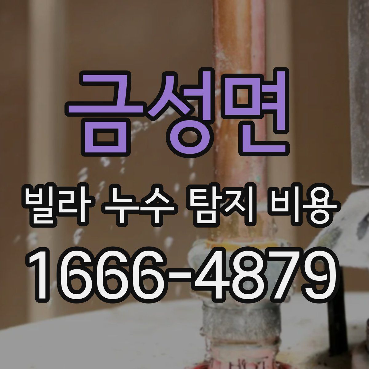 금성면 빌라 누수 탐지 비용