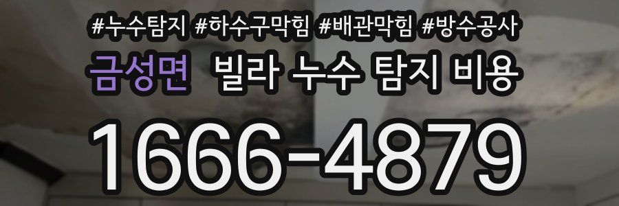금성면 빌라 누수 탐지 비용