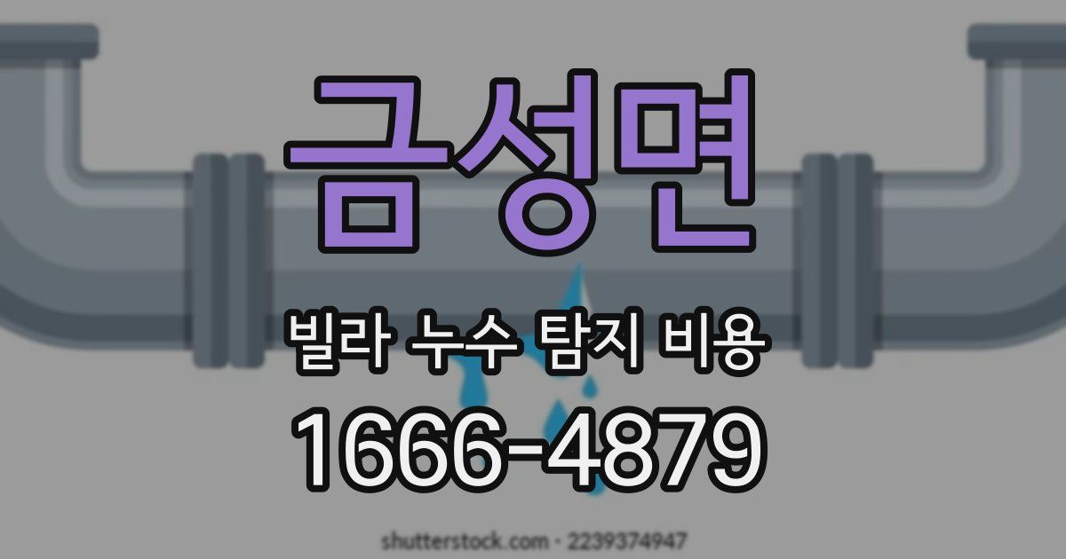 금성면 빌라 누수 탐지 비용
