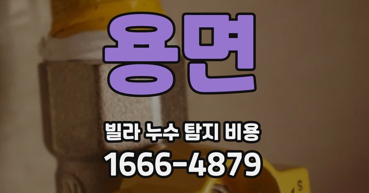 용면 빌라 누수 탐지 비용