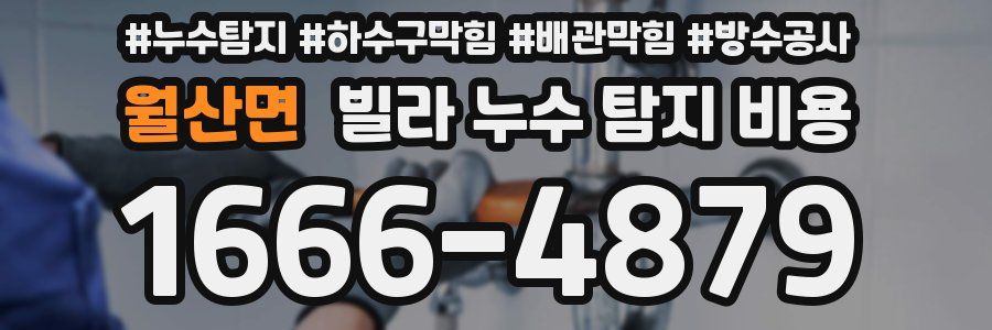 월산면 빌라 누수 탐지 비용