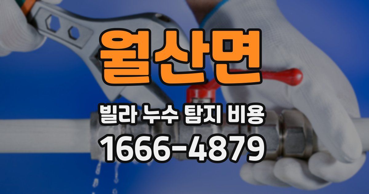 월산면 빌라 누수 탐지 비용