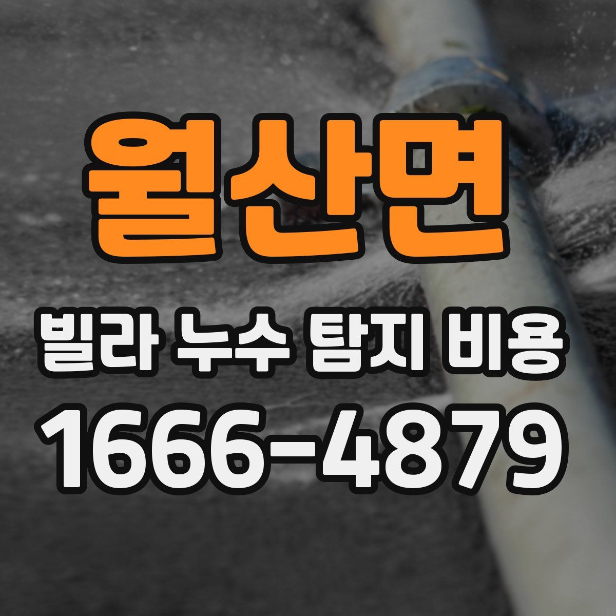 월산면 빌라 누수 탐지 비용