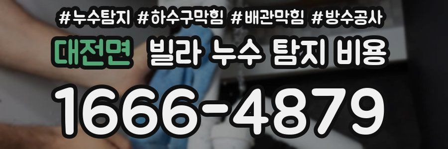 대전면 빌라 누수 탐지 비용