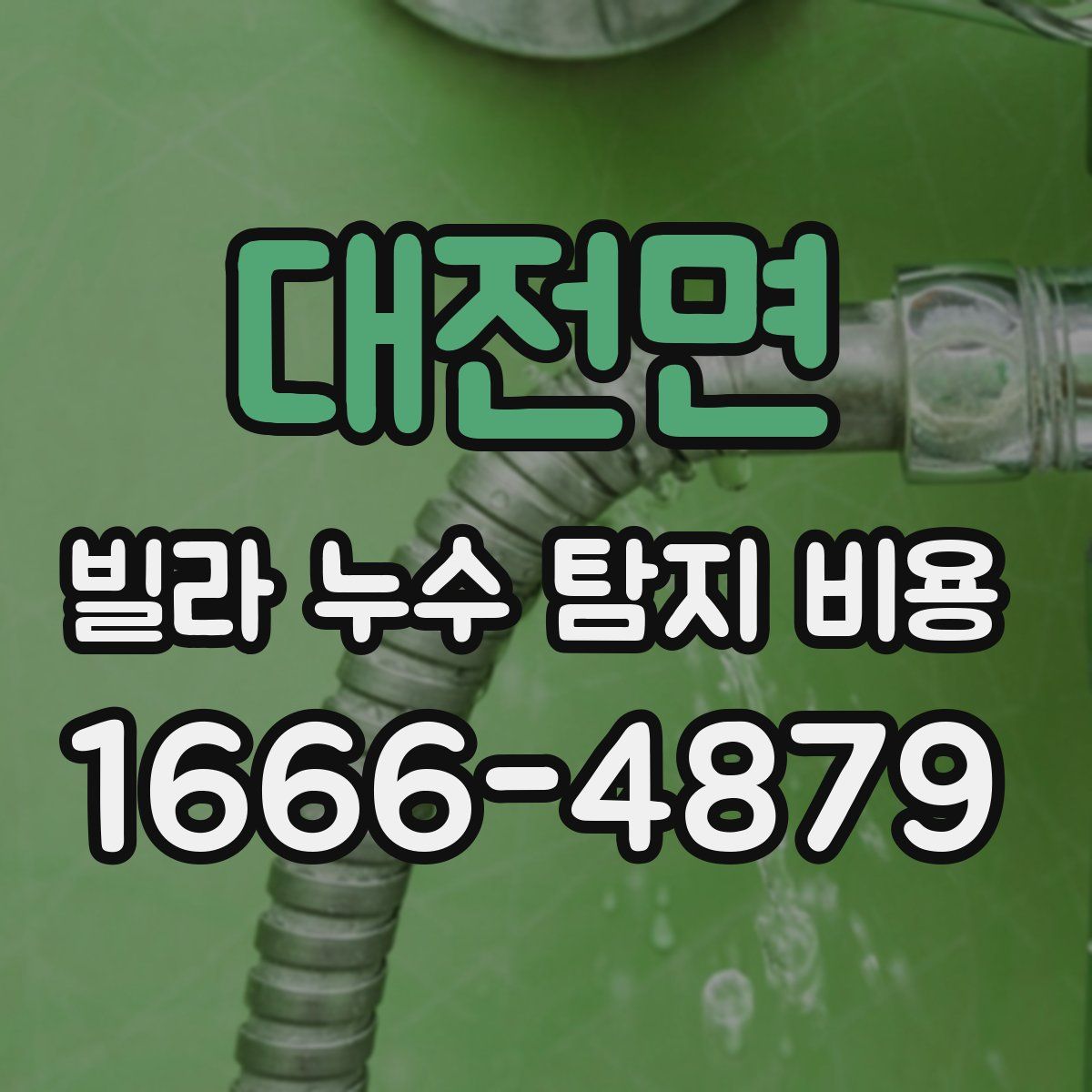 대전면 빌라 누수 탐지 비용