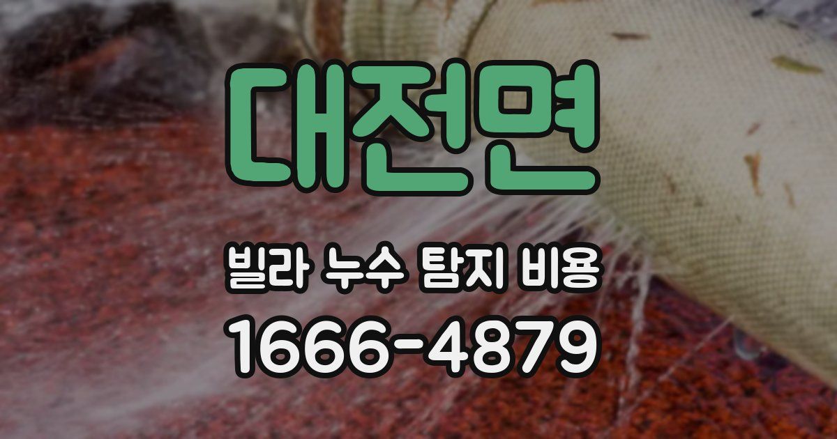 대전면 빌라 누수 탐지 비용
