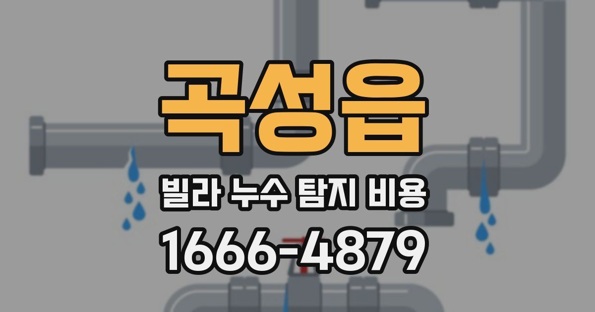 곡성읍 빌라 누수 탐지 비용