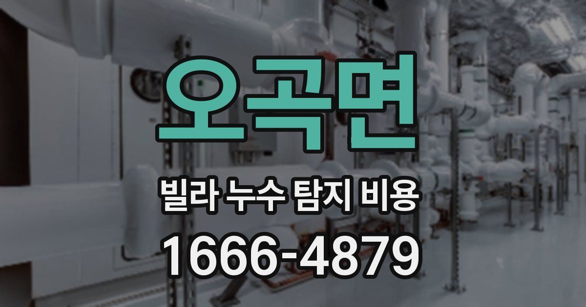 오곡면 빌라 누수 탐지 비용