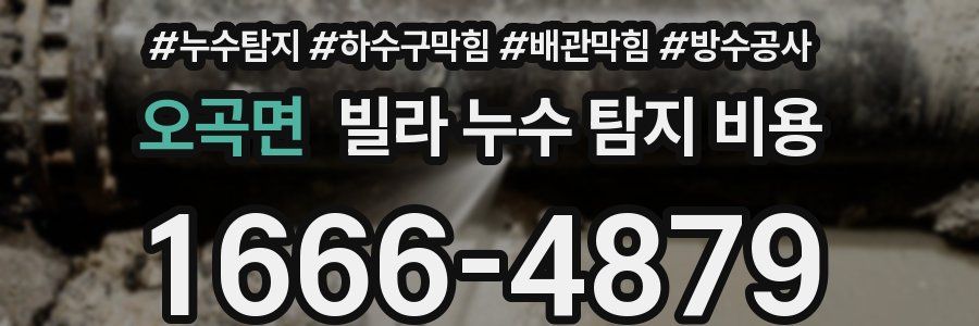 오곡면 빌라 누수 탐지 비용