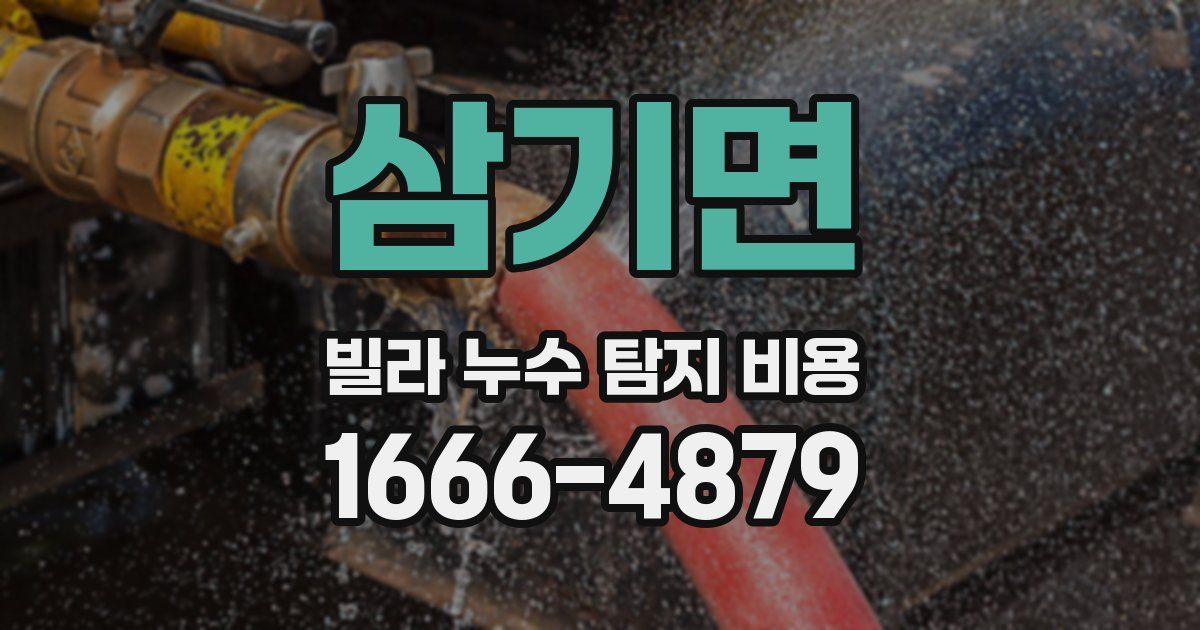삼기면 빌라 누수 탐지 비용