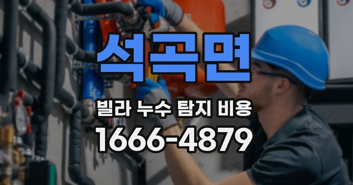 석곡면 빌라 누수 탐지 비용
