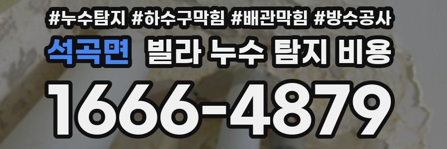 석곡면 빌라 누수 탐지 비용