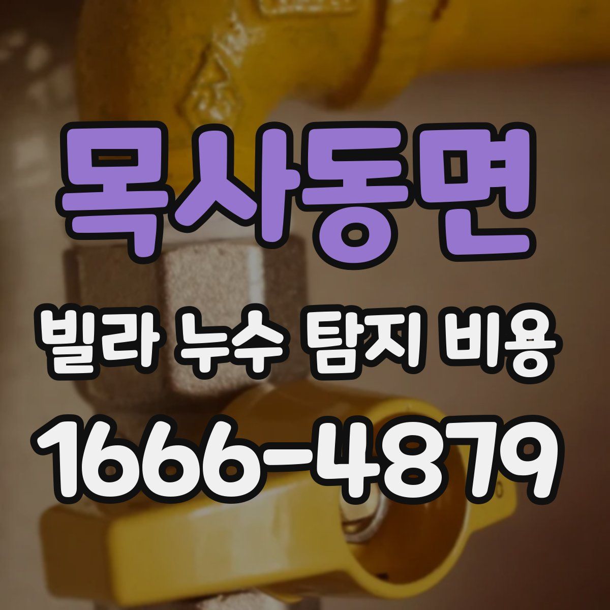 목사동면 빌라 누수 탐지 비용