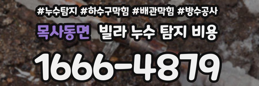목사동면 빌라 누수 탐지 비용