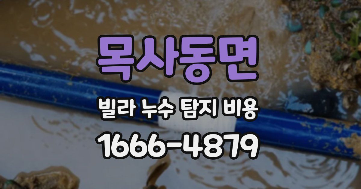 목사동면 빌라 누수 탐지 비용