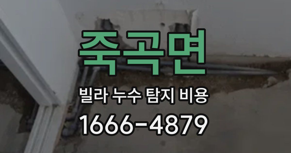 죽곡면 빌라 누수 탐지 비용