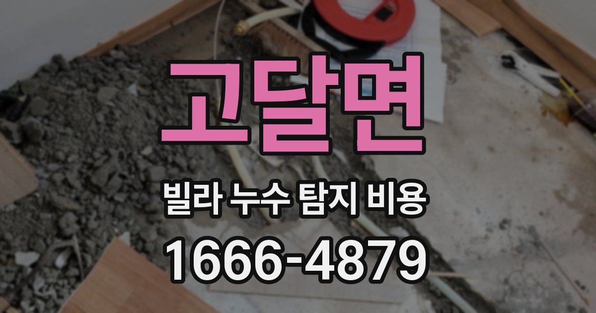 고달면 빌라 누수 탐지 비용