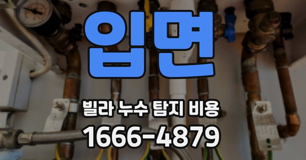 입면 빌라 누수 탐지 비용