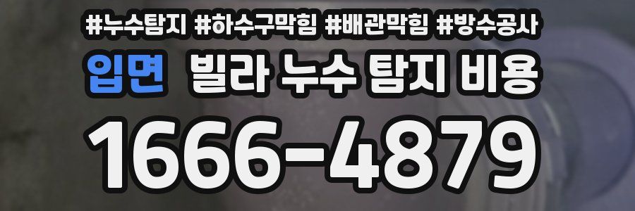 입면 빌라 누수 탐지 비용
