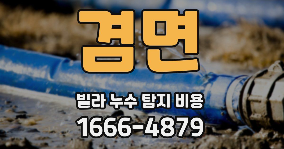 겸면 빌라 누수 탐지 비용