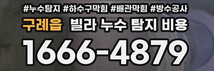 구례읍 빌라 누수 탐지 비용