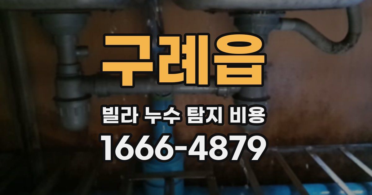 구례읍 빌라 누수 탐지 비용