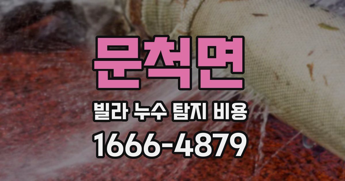 문척면 빌라 누수 탐지 비용
