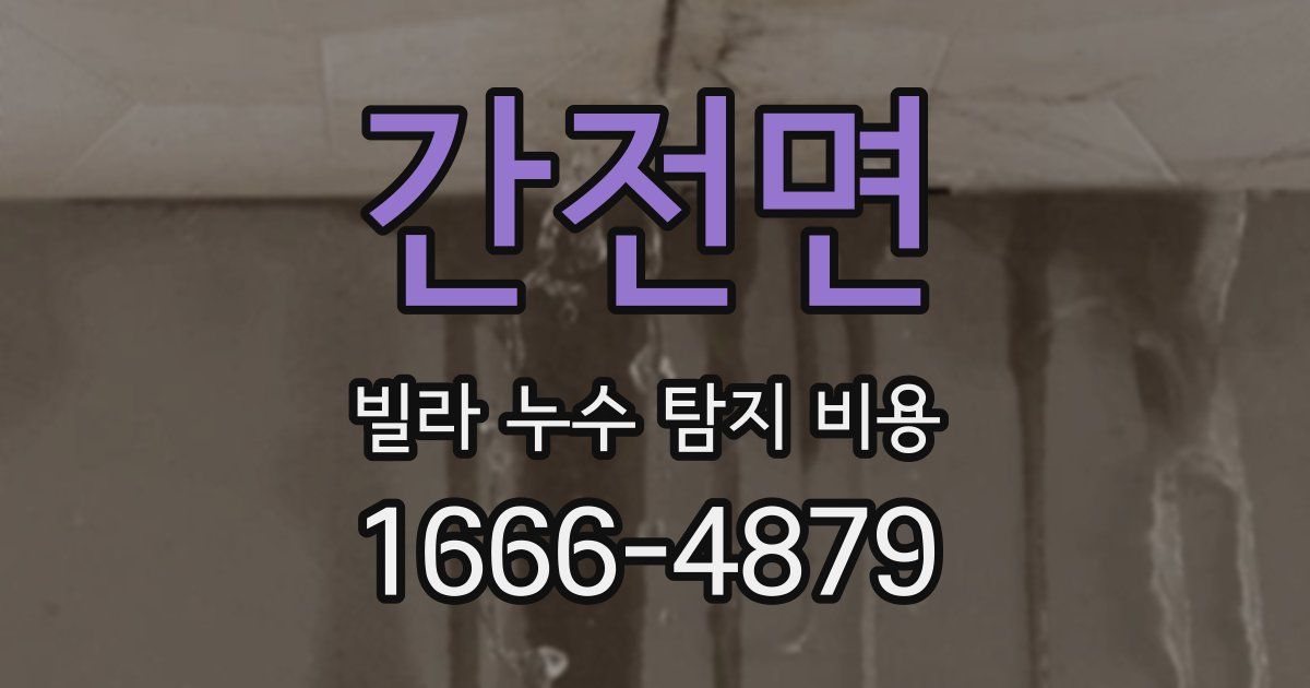 간전면 빌라 누수 탐지 비용