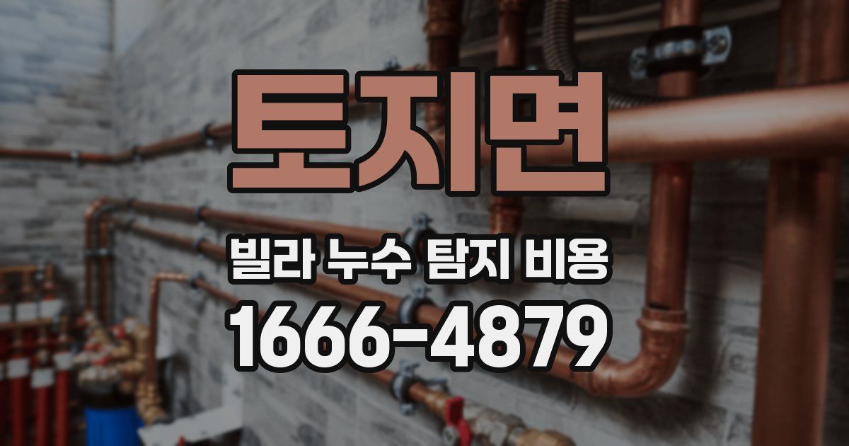 토지면 빌라 누수 탐지 비용