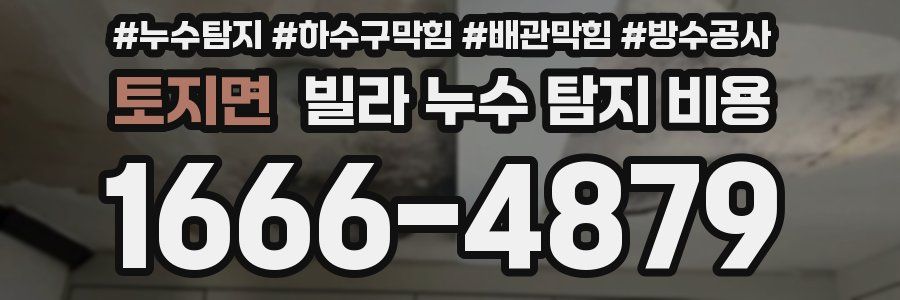 토지면 빌라 누수 탐지 비용