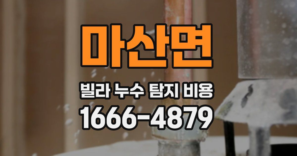 마산면 빌라 누수 탐지 비용