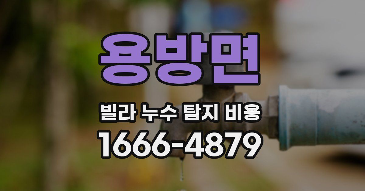 용방면 빌라 누수 탐지 비용