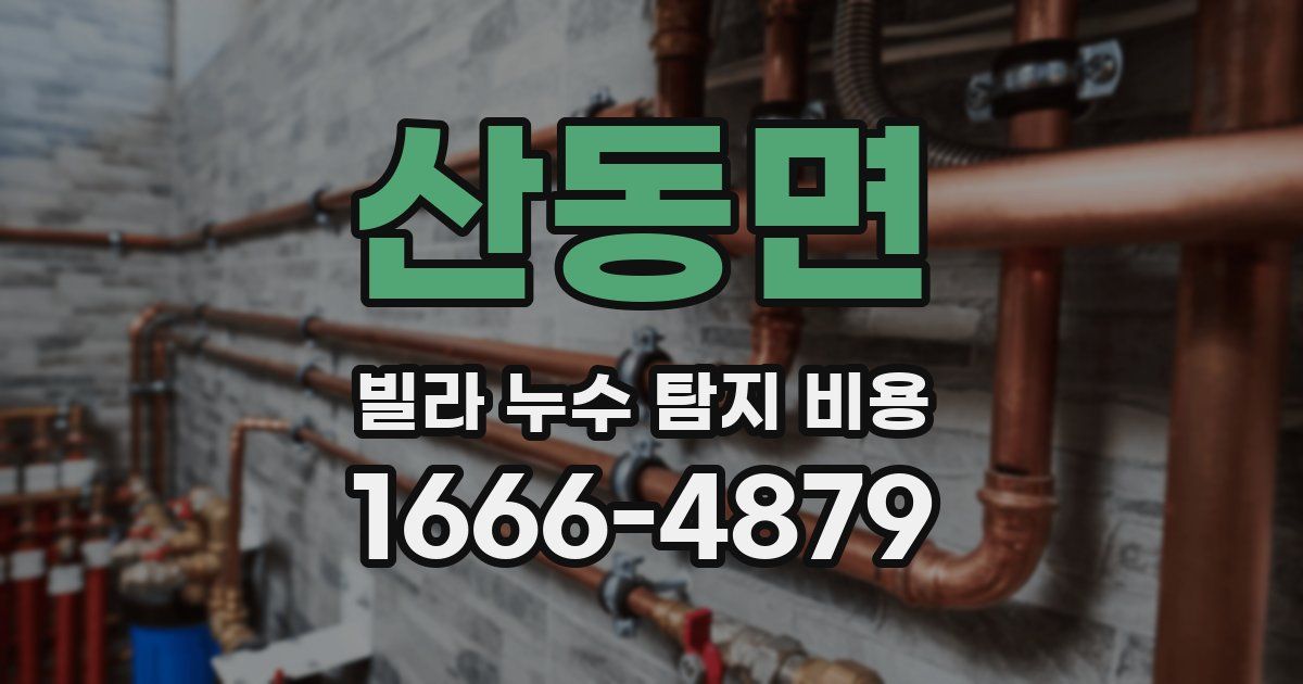 산동면 빌라 누수 탐지 비용