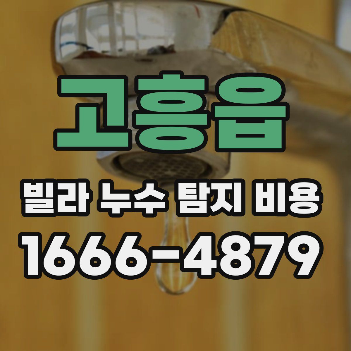 고흥읍 빌라 누수 탐지 비용