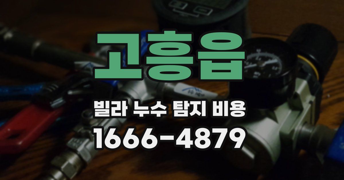 고흥읍 빌라 누수 탐지 비용