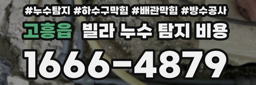 고흥읍 빌라 누수 탐지 비용