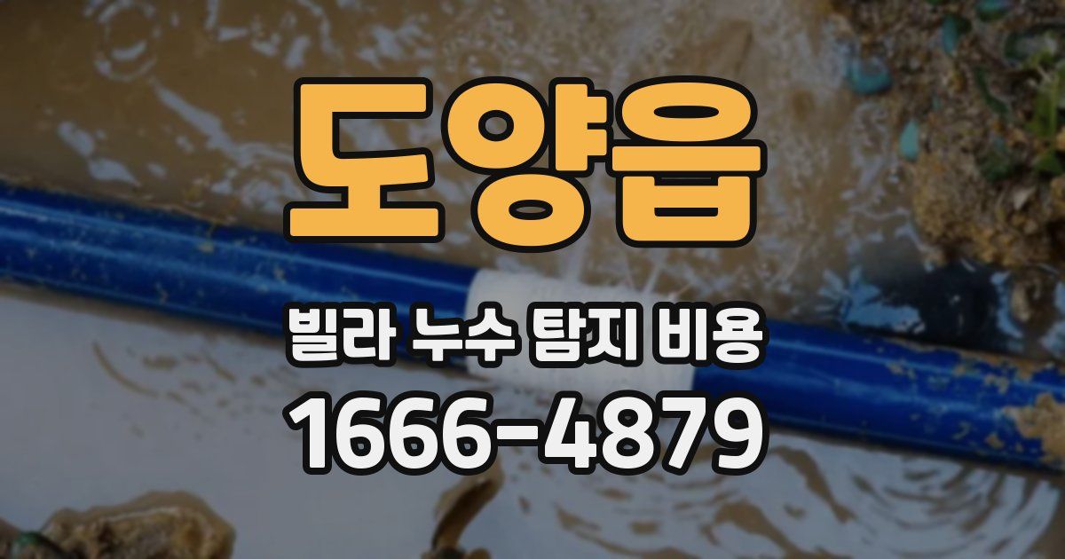 도양읍 빌라 누수 탐지 비용