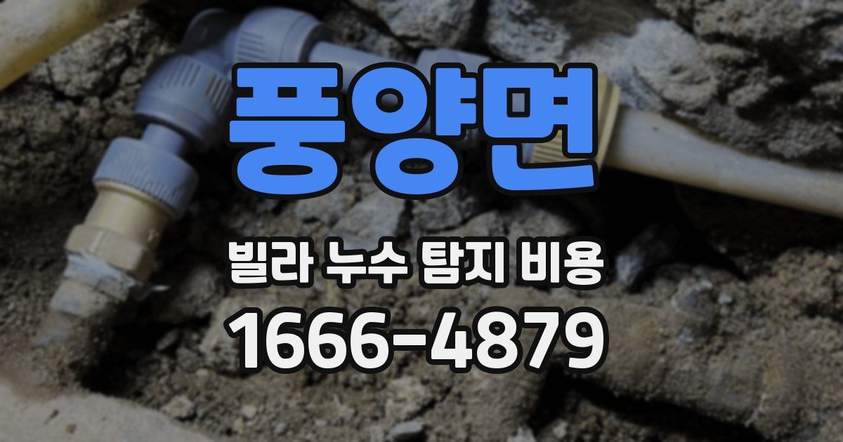 풍양면 빌라 누수 탐지 비용