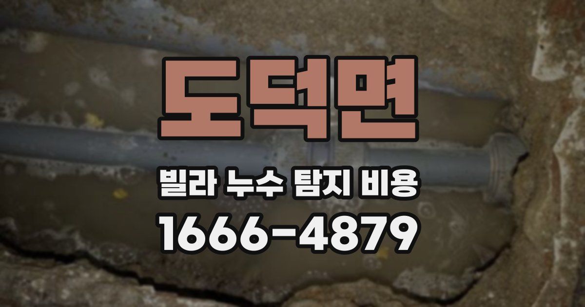 도덕면 빌라 누수 탐지 비용