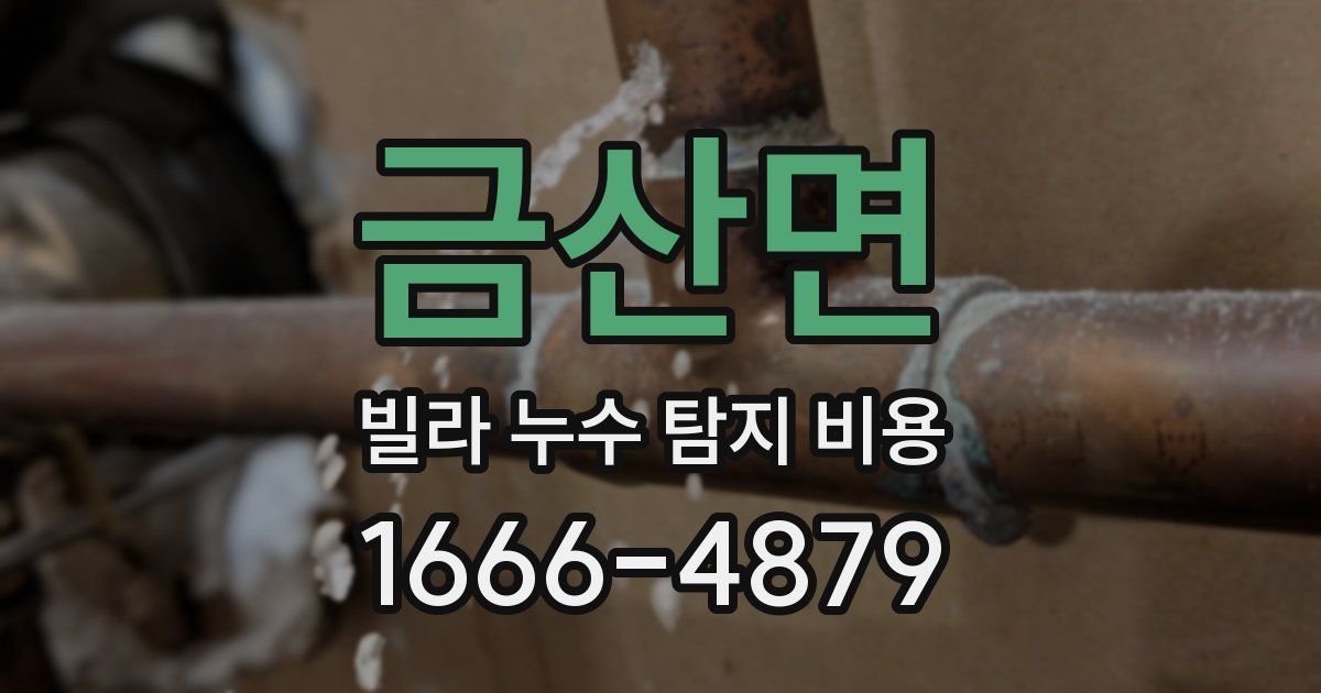 금산면 빌라 누수 탐지 비용