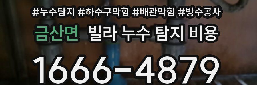 금산면 빌라 누수 탐지 비용