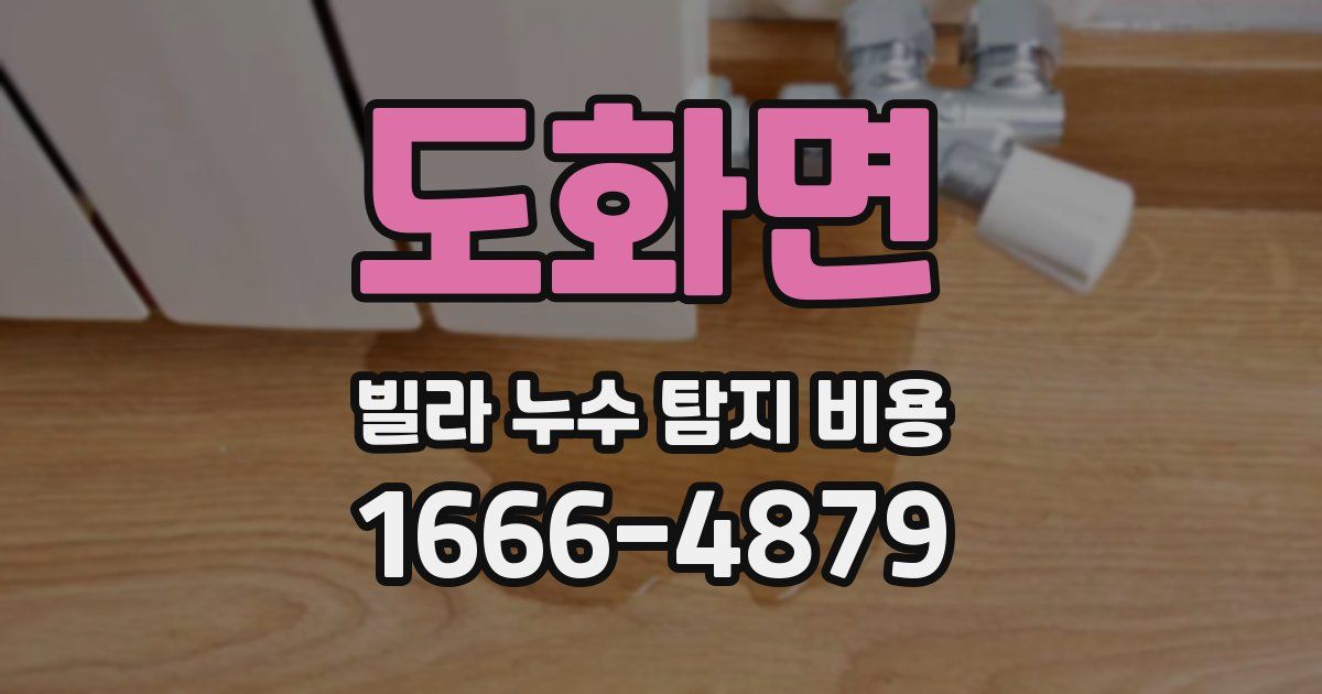 도화면 빌라 누수 탐지 비용