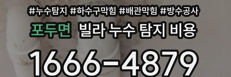 포두면 빌라 누수 탐지 비용